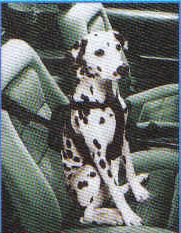 DOG CAR HARNESS: Easy Rider By Costal.
Safe, easy way to contain your dog.
Fully adjustable. Use with any seat belt. Front or rear. Black only.
