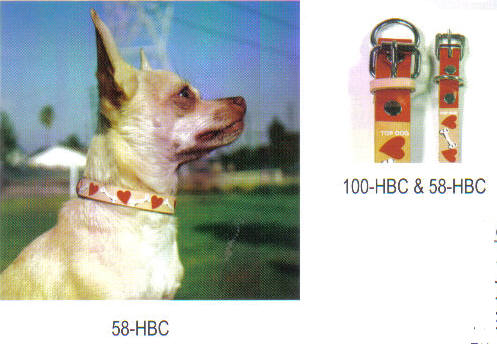 Dog Leather Collar Silkscreened On A Dog