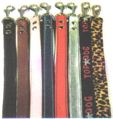 Dog Leash Store Index