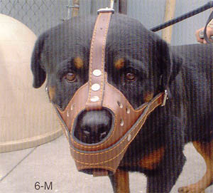 Leather Dog Muzzles APPROXIMATE FITTINGS: SIZE 3 CHOW CHOW: SIZE 4 PIT BULL: SIZE 5 GERMAN SHEPHERD: SIZE 6 ROTTWEILER.