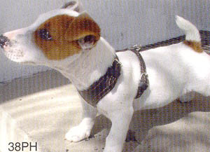 Plain Leather Dog Harnesses