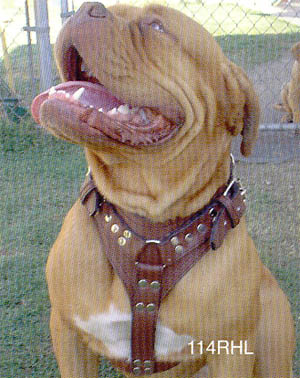 Ring Leather Dog Harnesses
