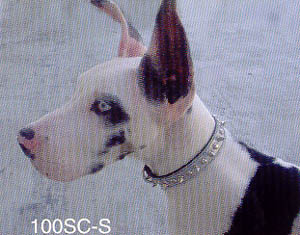 Silver Leather Spiked Dog Collars