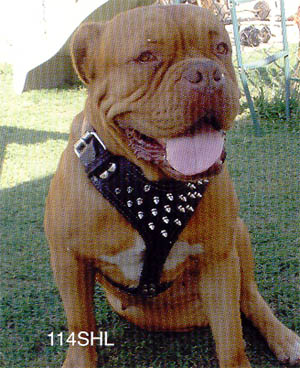Spiked Leather Dog Harnesses